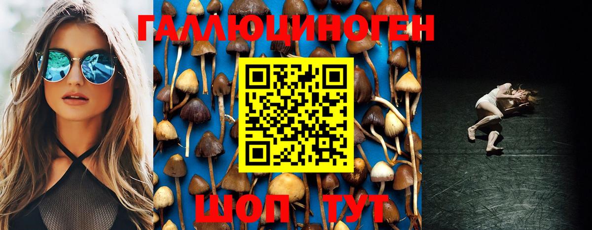 Псилоцибиновые грибы Psilocybine cubensis  Галлюциногенные грибы MAGIC MUSHROOMS  Нижневартовск  Вход с VPN 
