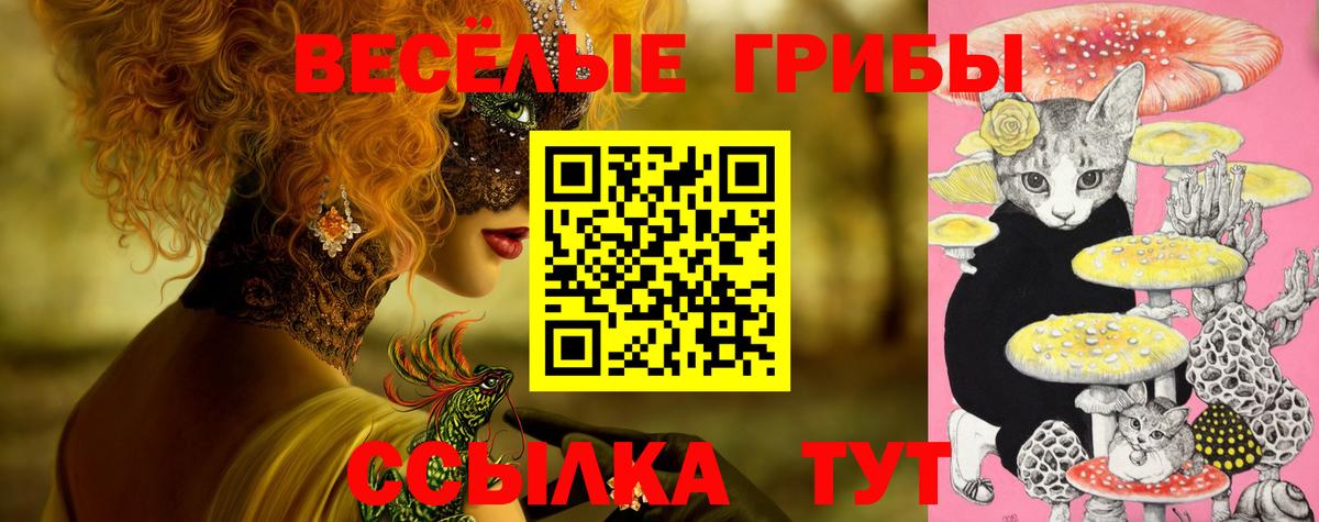 Псилоцибиновые грибы Psilocybe Нижневартовск